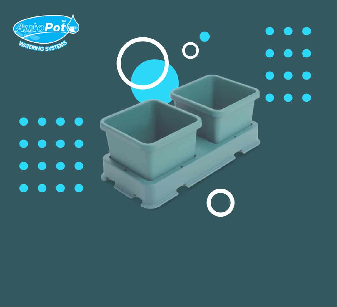 Autopot