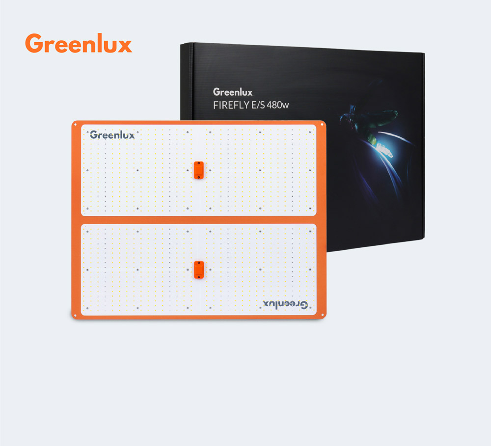 Greenlux-Quantum-Board-Banner